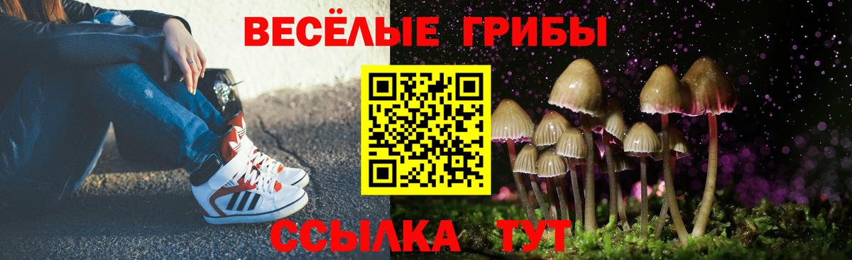 цена наркотик  Вход с VPN  Воркута  Псилоцибиновые грибы Cubensis 
