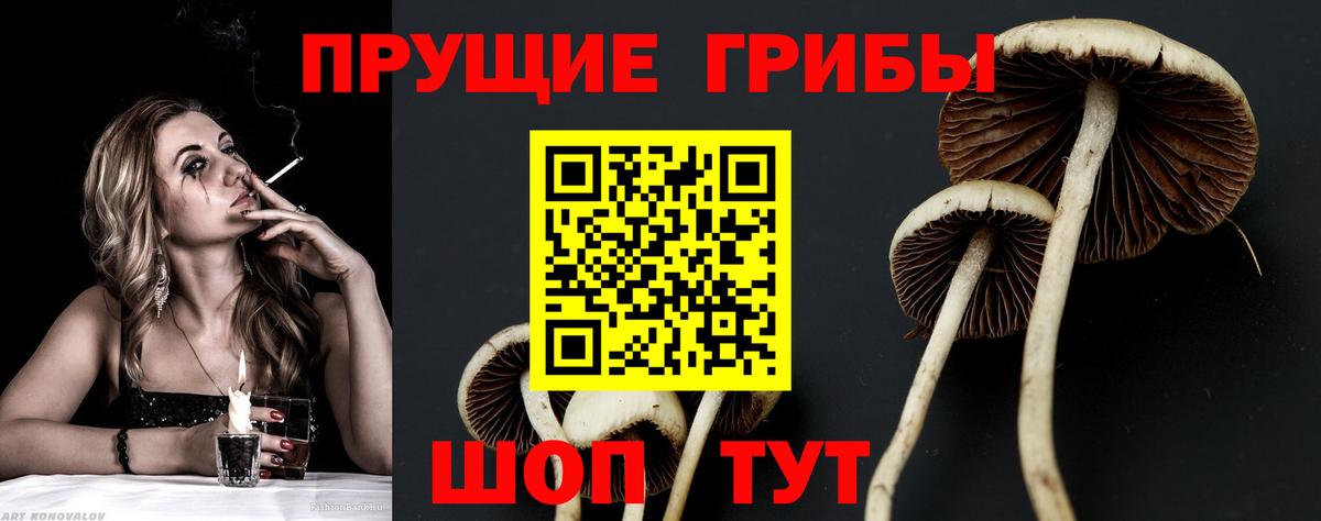 Галлюциногенные грибы Cubensis Воркута